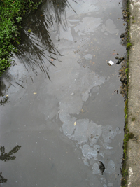 Oil from road run-off in Chesham